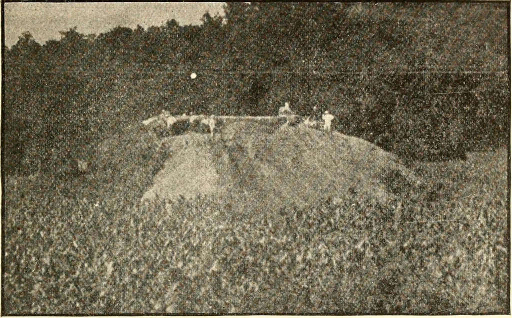 An illustration from Ohio archæological and historical publications, 1887, leaf 468