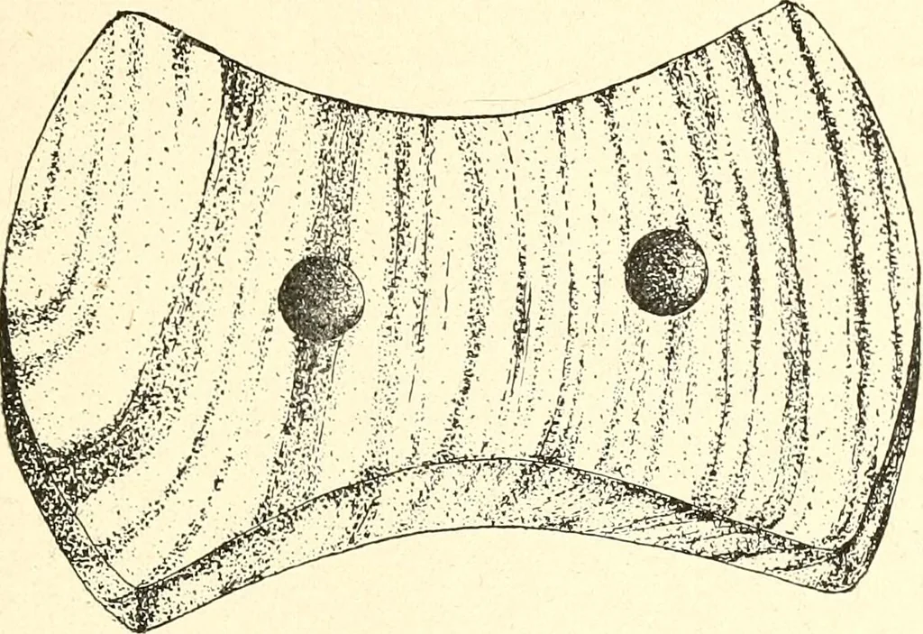 An illustration from Ohio archæological and historical publications, 1887, leaf 470