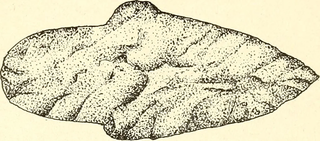 An illustration from Ohio archæological and historical publications, 1887, leaf 473