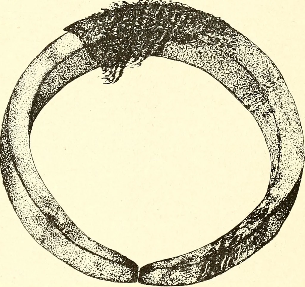 An illustration from Ohio archæological and historical publications, 1887, leaf 473