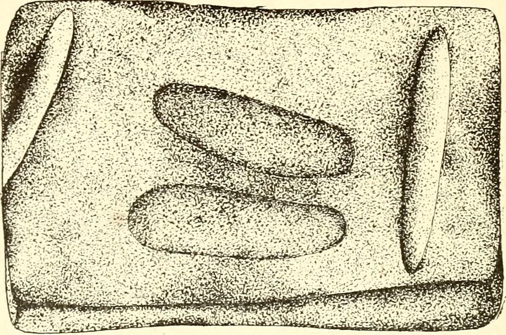 An illustration from Ohio archæological and historical publications, 1887, leaf 479