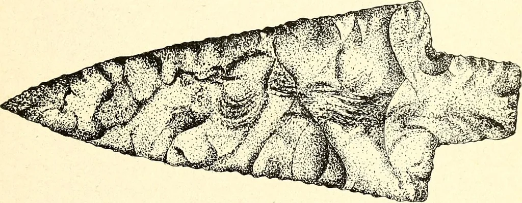 An illustration from Ohio archæological and historical publications, 1887, leaf 482