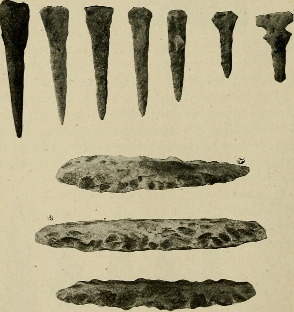 An illustration from Ohio archæological and historical quarterly, 1887, leaf 101