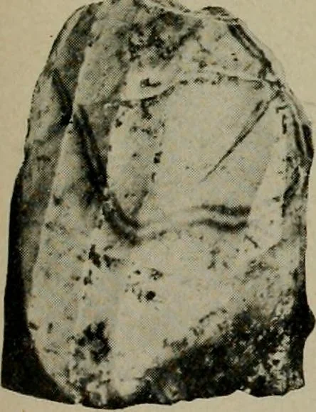An illustration from Ohio archæological and historical quarterly, 1887, leaf 102