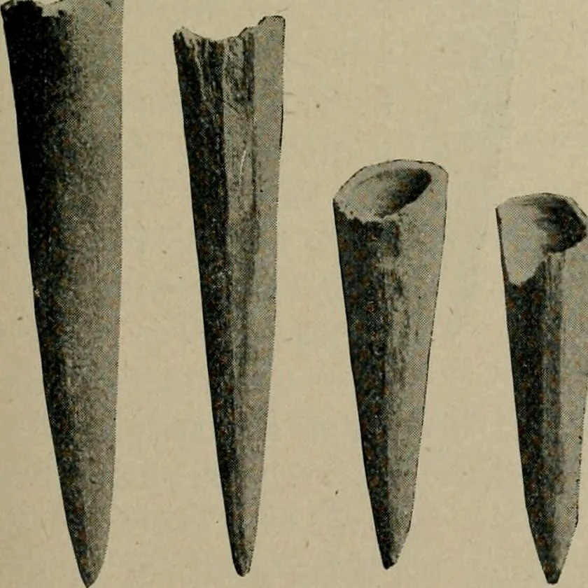 An illustration from Ohio archæological and historical quarterly, 1887, leaf 106