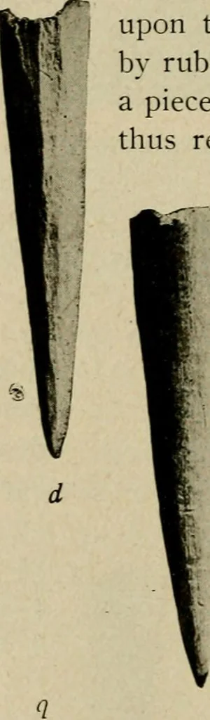 An illustration from Ohio archæological and historical quarterly, 1887, leaf 107