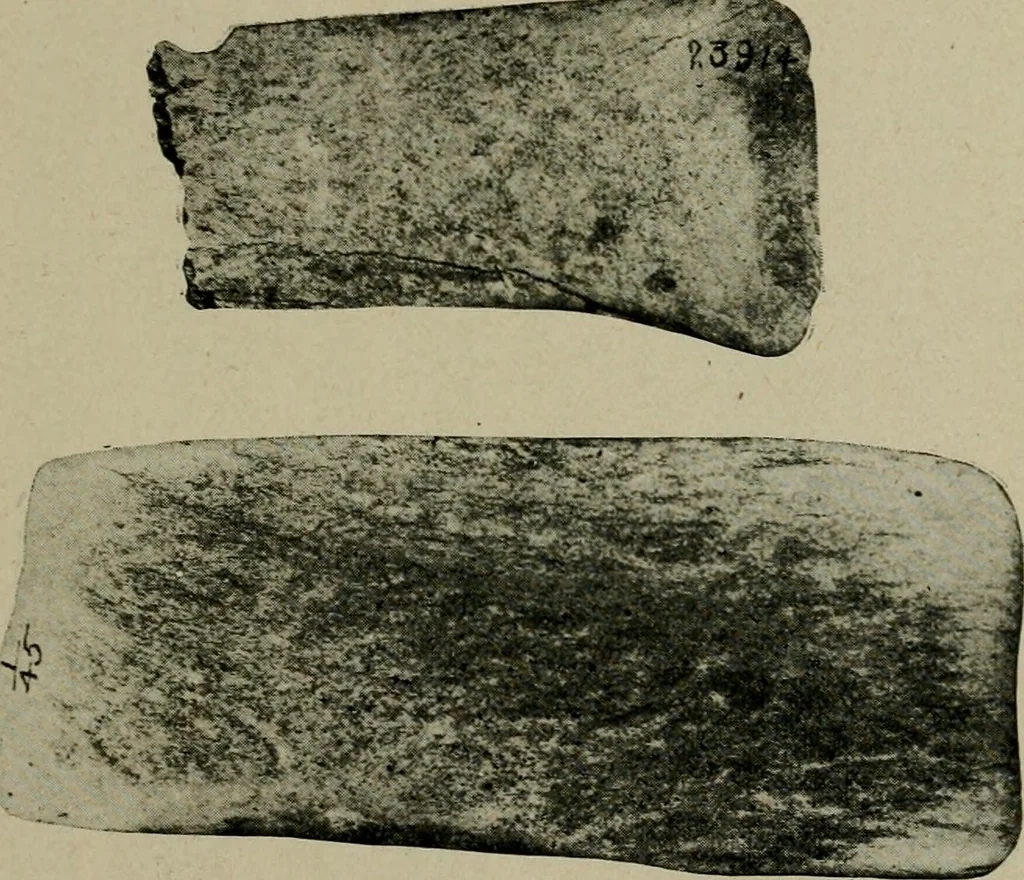 An illustration from Ohio archæological and historical quarterly, 1887, leaf 112