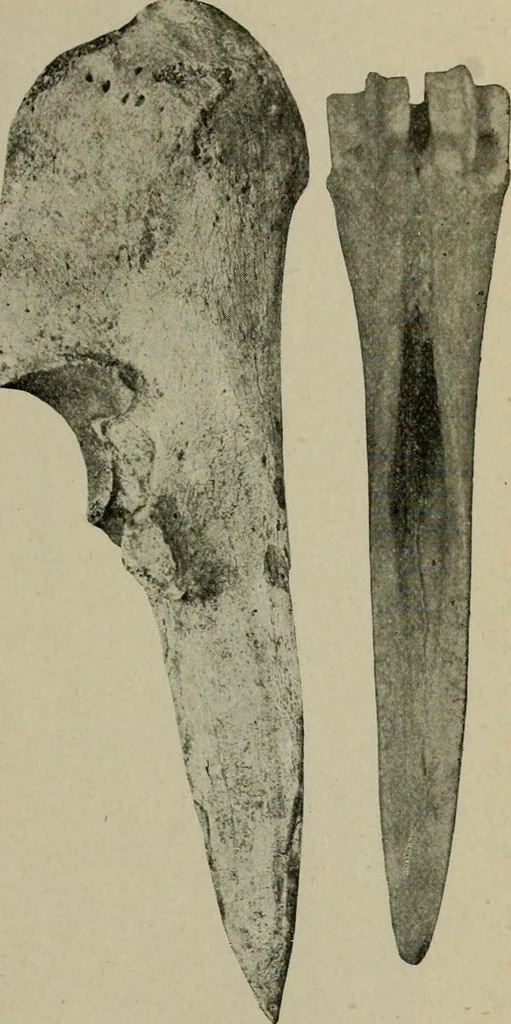 An illustration from Ohio archæological and historical quarterly, 1887, leaf 116