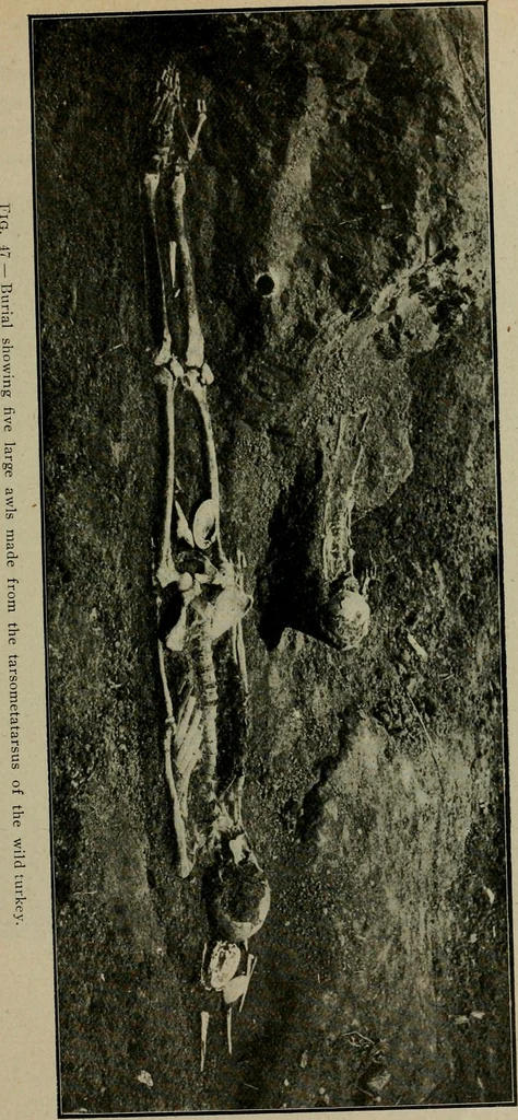 An illustration from Ohio archæological and historical quarterly, 1887, leaf 118