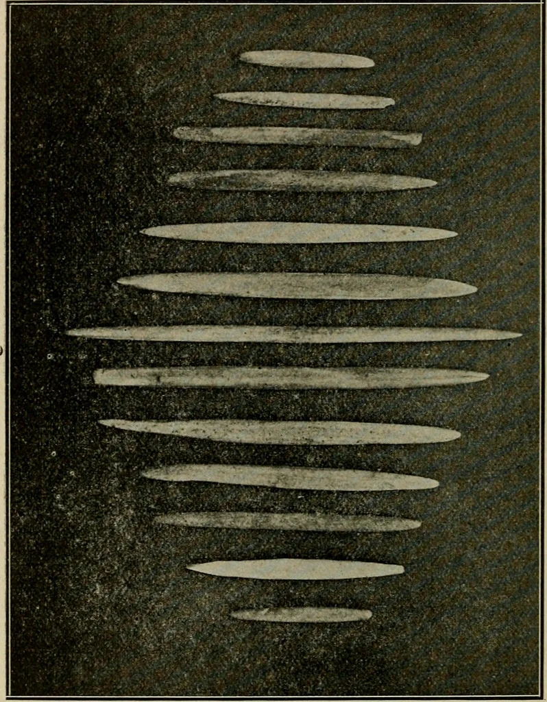 An illustration from Ohio archæological and historical quarterly, 1887, leaf 119