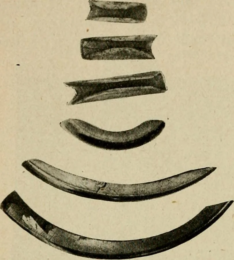 An illustration from Ohio archæological and historical quarterly, 1887, leaf 121