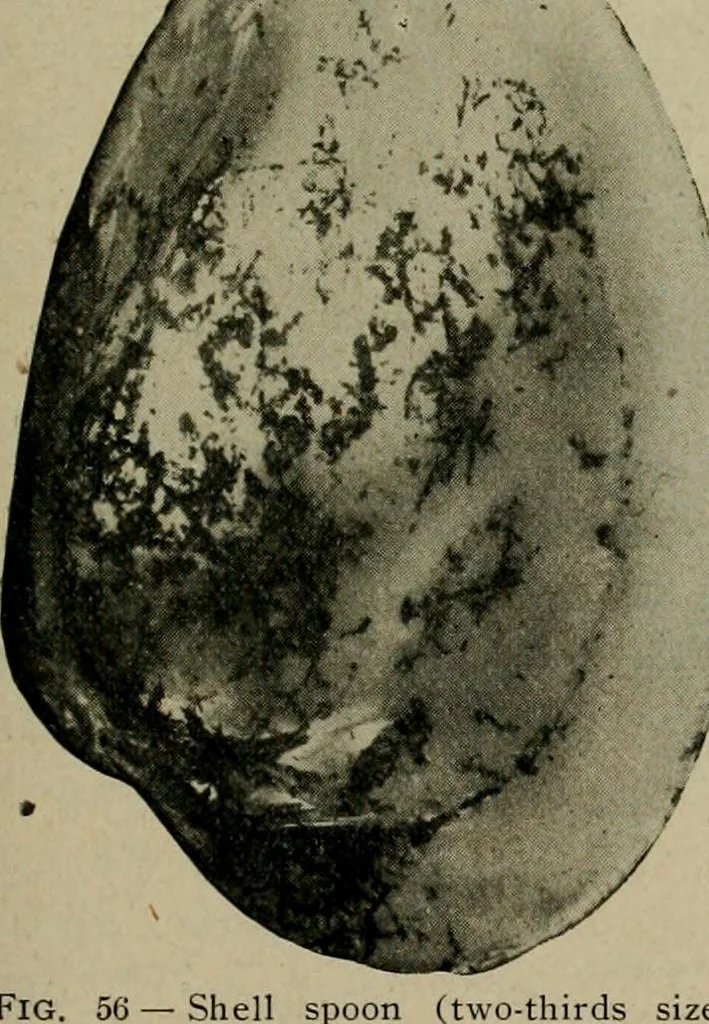 An illustration from Ohio archæological and historical quarterly, 1887, leaf 126