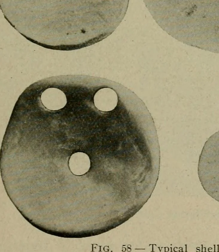 An illustration from Ohio archæological and historical quarterly, 1887, leaf 128