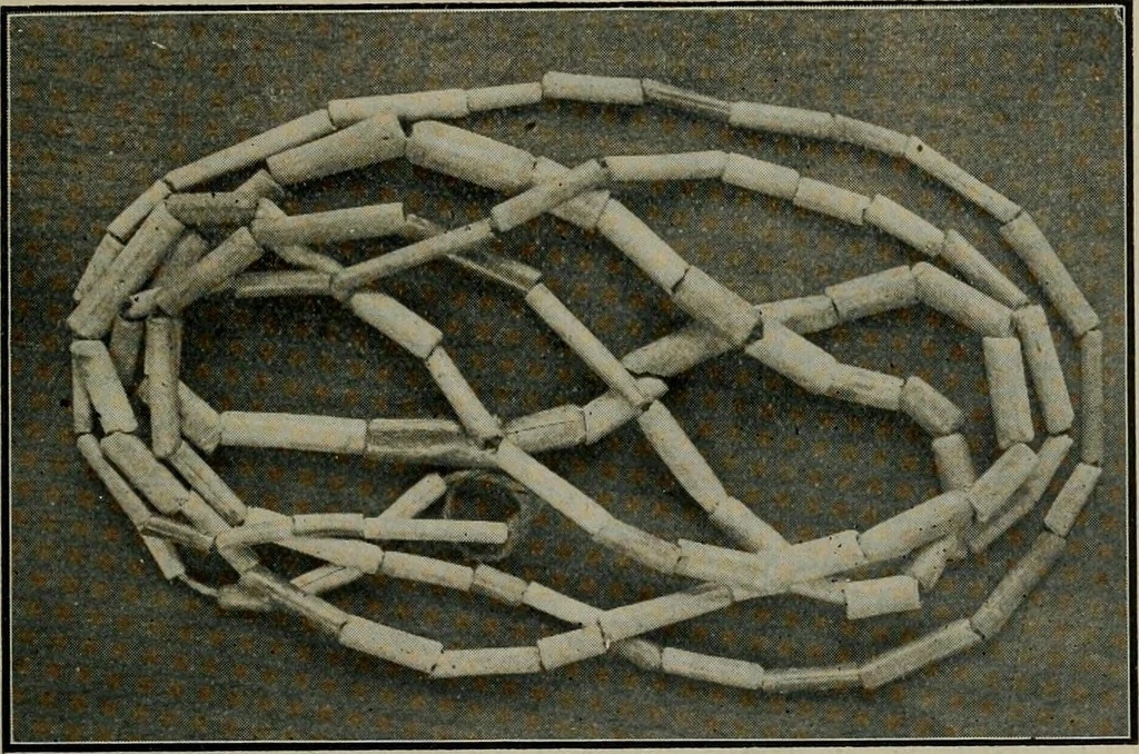 An illustration from Ohio archæological and historical quarterly, 1887, leaf 130