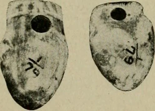 An illustration from Ohio archæological and historical quarterly, 1887, leaf 132