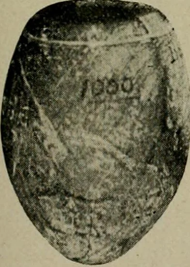 An illustration from Ohio archæological and historical quarterly, 1887, leaf 134