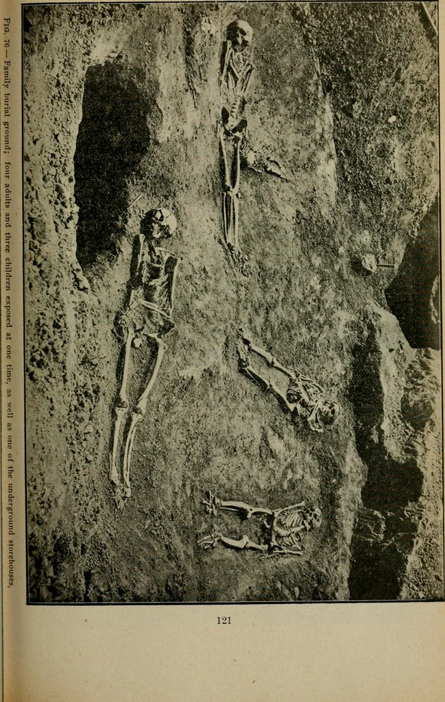 An illustration from Ohio archæological and historical quarterly, 1887, leaf 136