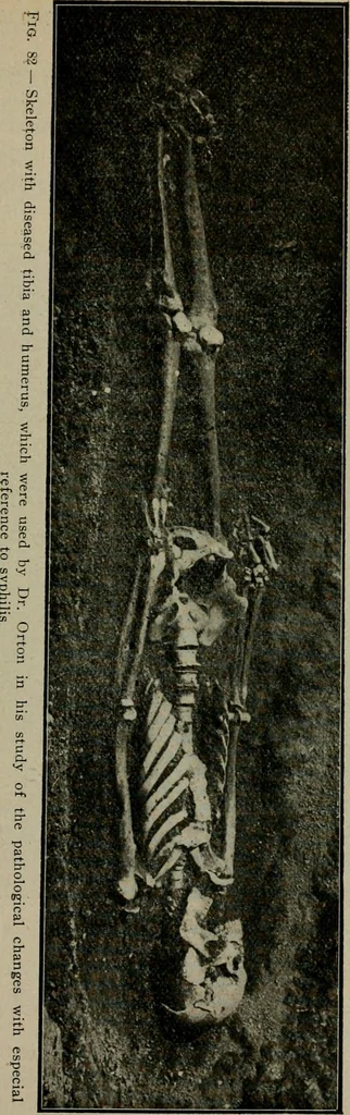An illustration from Ohio archæological and historical quarterly, 1887, leaf 142