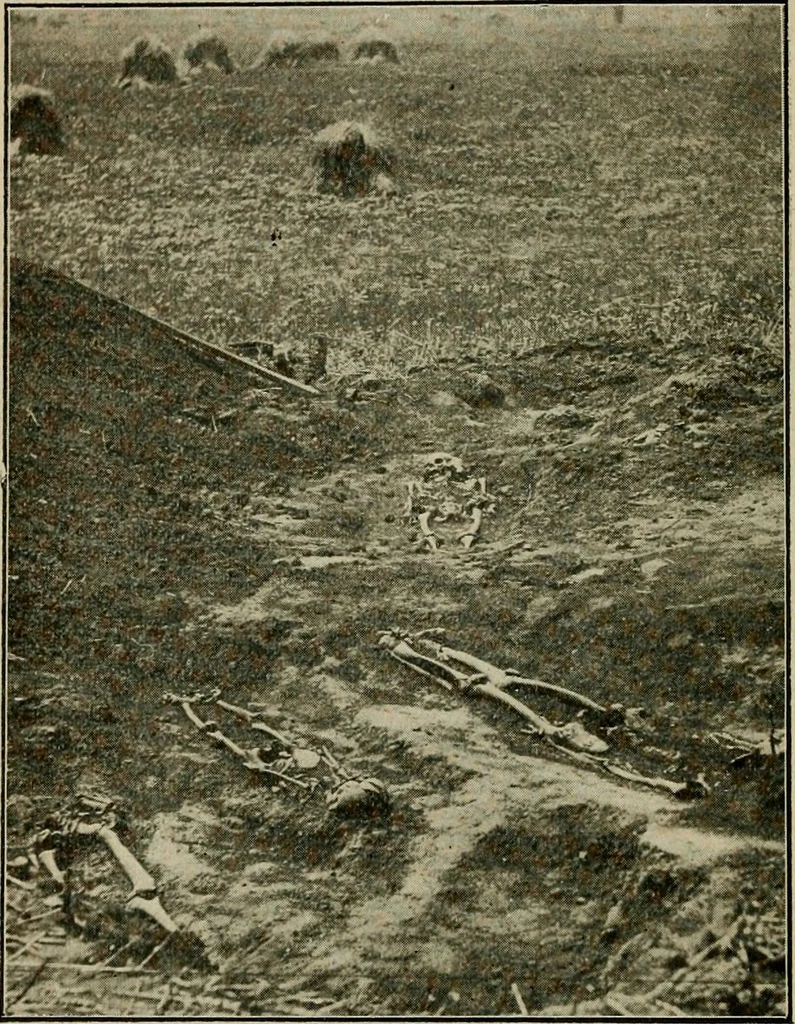 An illustration from Ohio archæological and historical quarterly, 1887, leaf 143