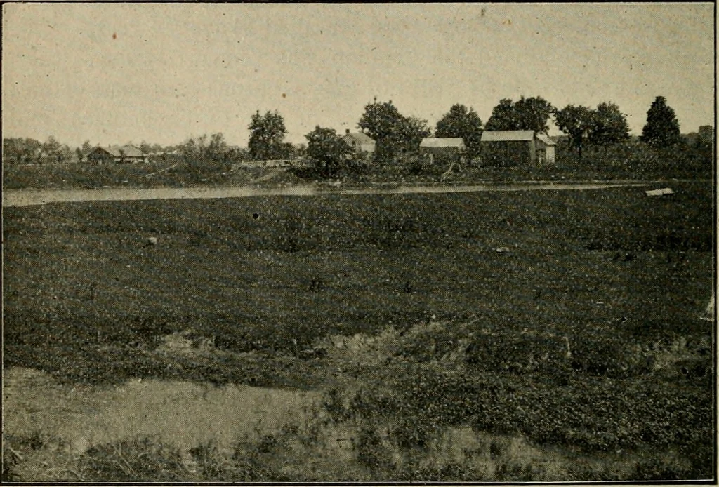 An illustration from Ohio archæological and historical quarterly, 1887, leaf 159