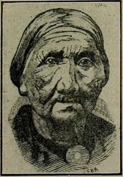 An illustration from Ohio archæological and historical quarterly, 1887, leaf 192