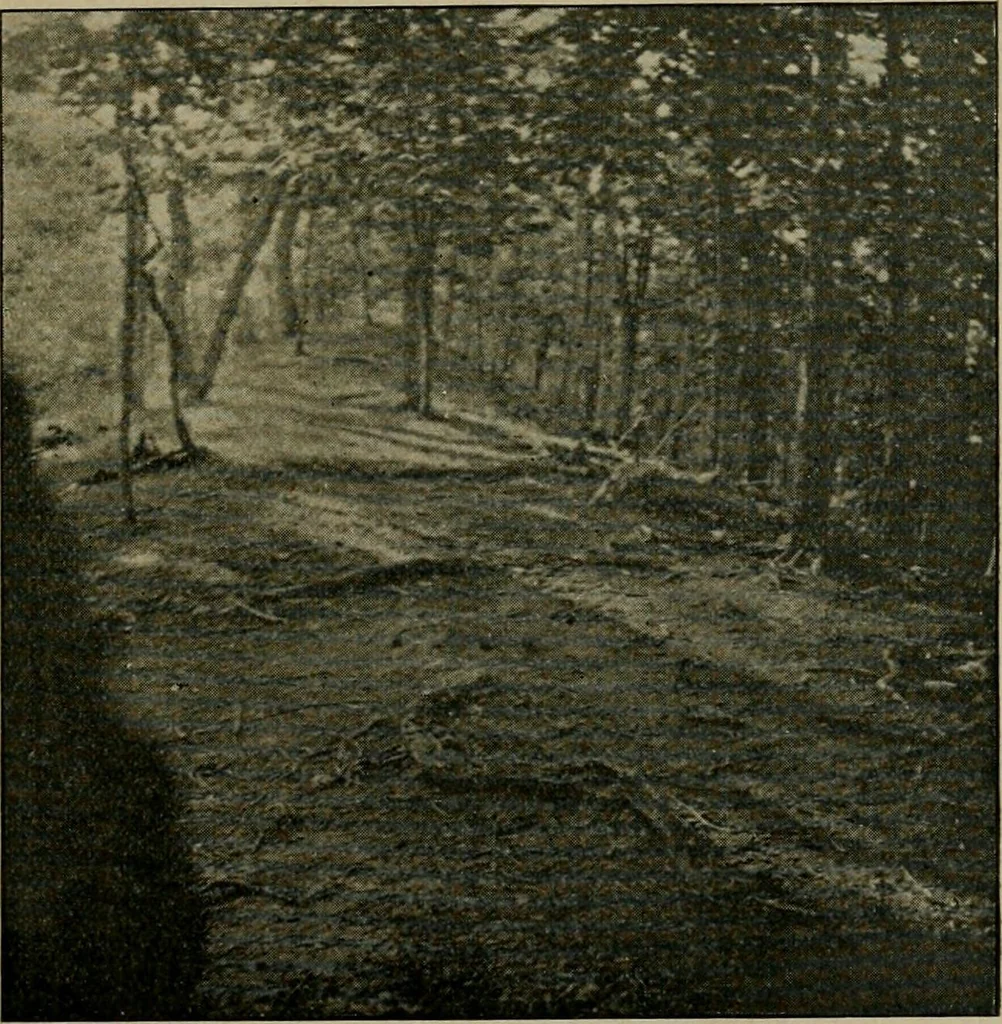 An illustration from Ohio archæological and historical quarterly, 1887, leaf 20