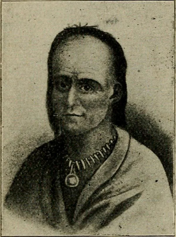 An illustration from Ohio archæological and historical quarterly, 1887, leaf 465