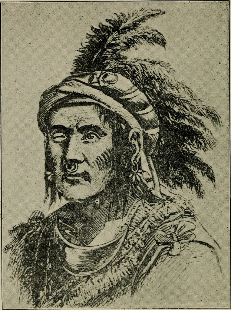 An illustration from Ohio archæological and historical quarterly, 1887, leaf 475