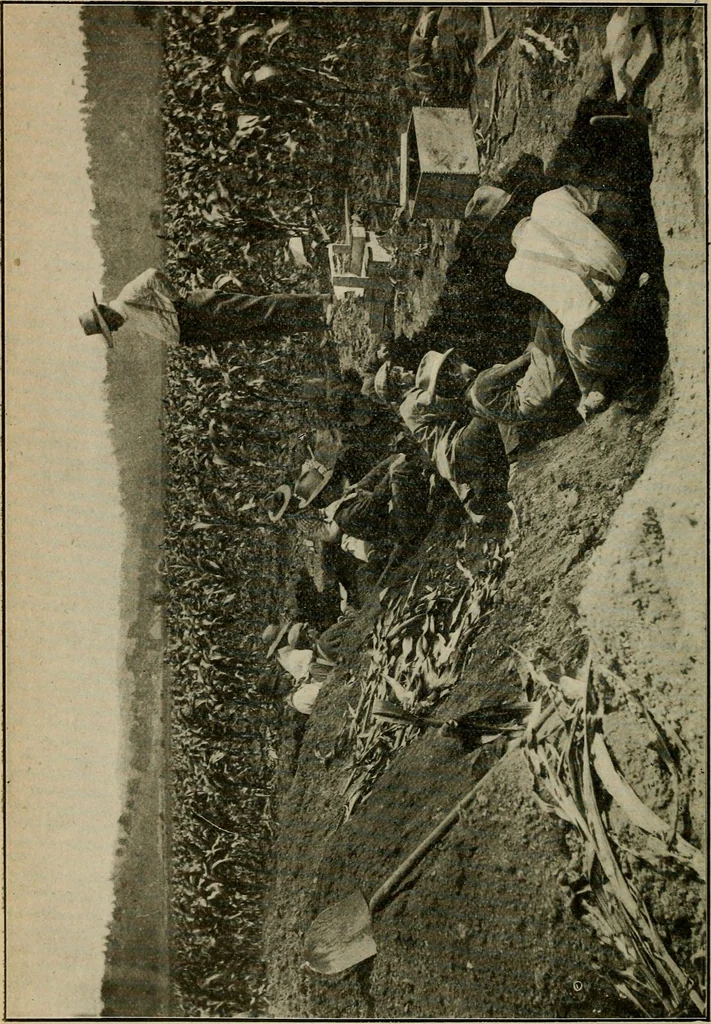An illustration from Ohio archæological and historical quarterly, 1887, leaf 59