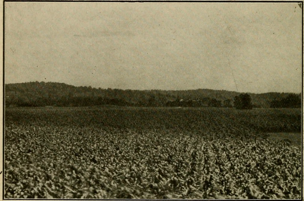 An illustration from Ohio archæological and historical quarterly, 1887, leaf 67