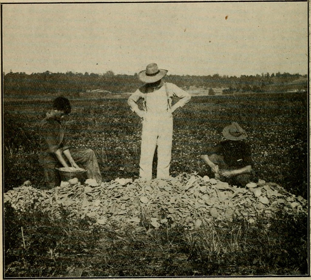 An illustration from Ohio archæological and historical quarterly, 1887, leaf 73