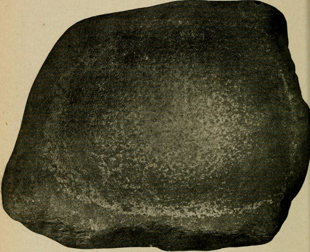 An illustration from Ohio archæological and historical quarterly, 1887, leaf 91