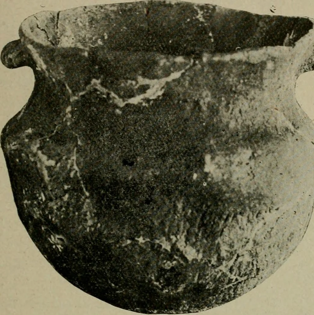 An illustration from Ohio archæological and historical quarterly, 1887, leaf 94