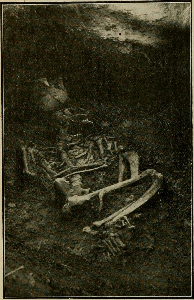 An illustration from Ohio archæological and historical quarterly, 1887, leaf 95