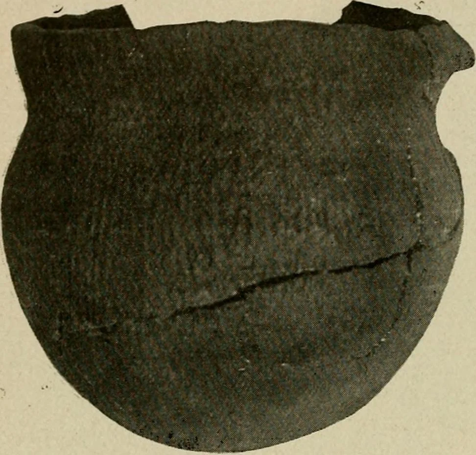 An illustration from Ohio archæological and historical quarterly, 1887, leaf 97