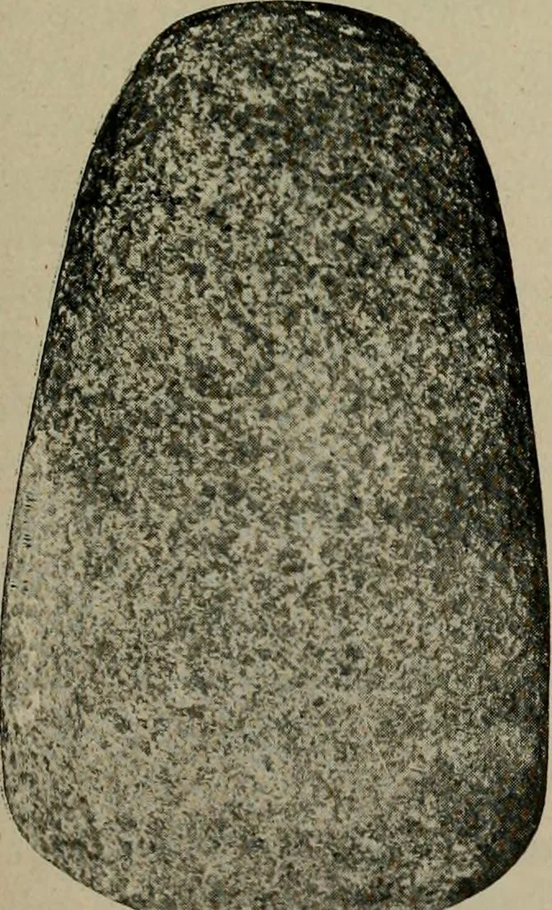 An illustration from Ohio archæological and historical quarterly, 1887, leaf 98