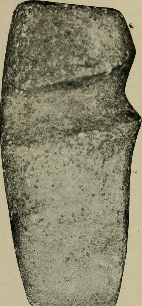 An illustration from Ohio archæological and historical quarterly, 1887, leaf 98