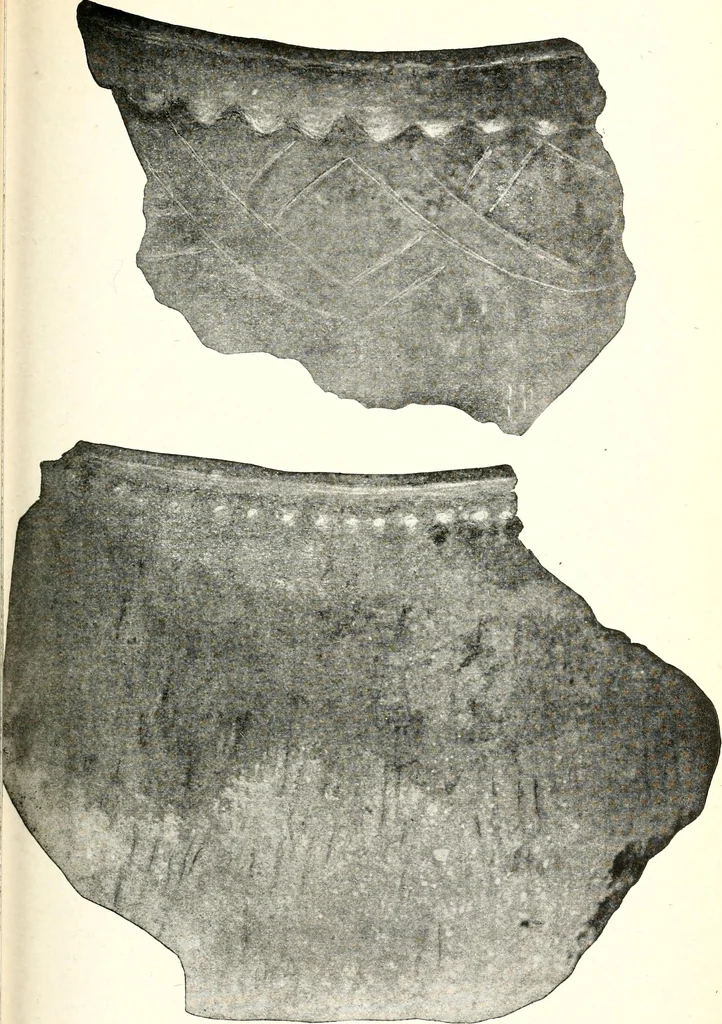 An illustration from Ohio archæological and historical quarterly, 1887, leaf 196