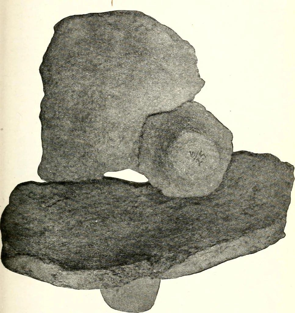 An illustration from Ohio archæological and historical quarterly, 1887, leaf 200