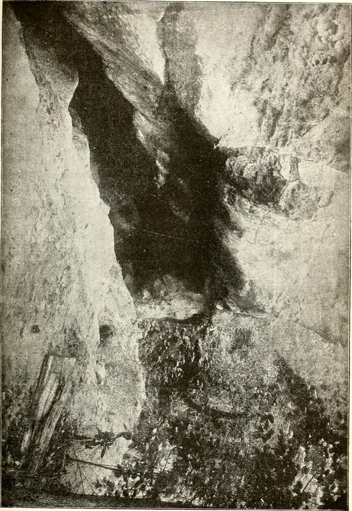 An illustration from Ohio archæological and historical quarterly, 1887, leaf 206