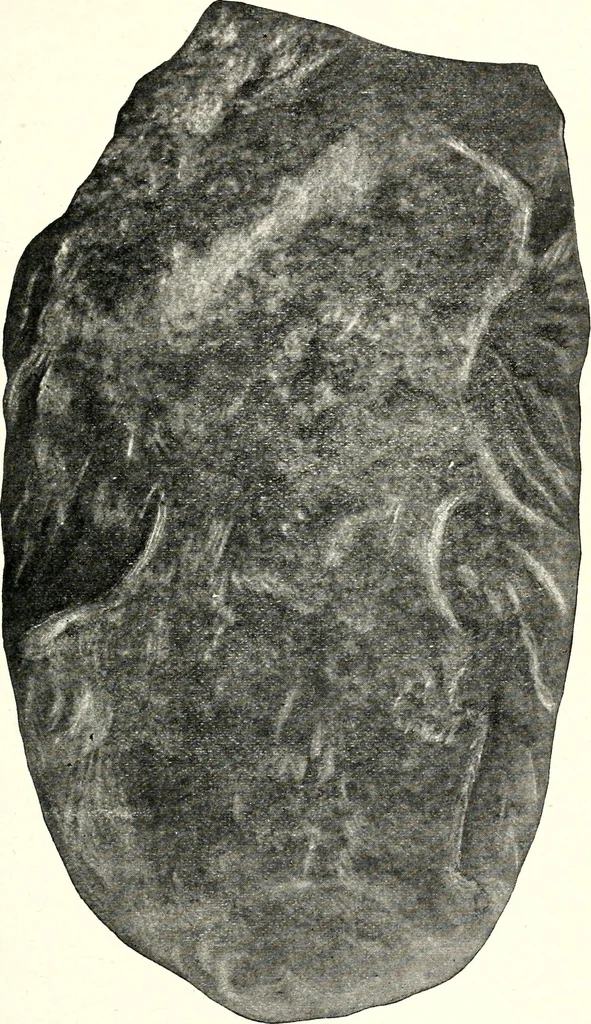 An illustration from Ohio archæological and historical quarterly, 1887, leaf 208