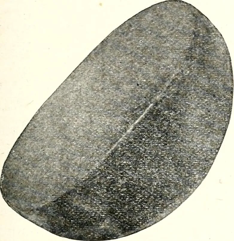 An illustration from Ohio archæological and historical quarterly, 1887, leaf 212