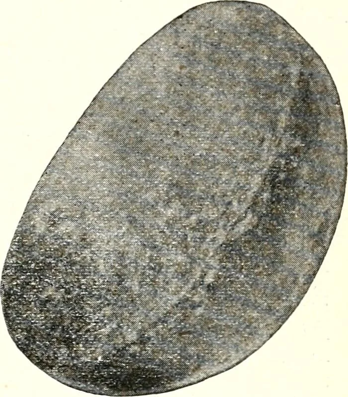 An illustration from Ohio archæological and historical quarterly, 1887, leaf 212