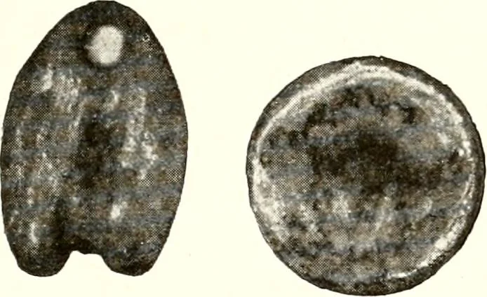 An illustration from Ohio archæological and historical quarterly, 1887, leaf 214