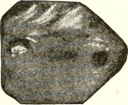 An illustration from Ohio archæological and historical quarterly, 1887, leaf 214