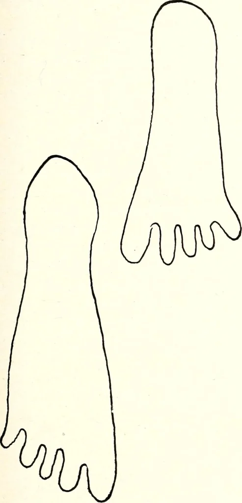 An illustration from Ohio archæological and historical quarterly, 1887, leaf 224