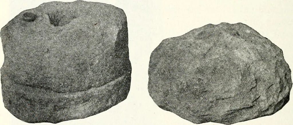 An illustration from Ohio archæological and historical quarterly, 1887, leaf 105