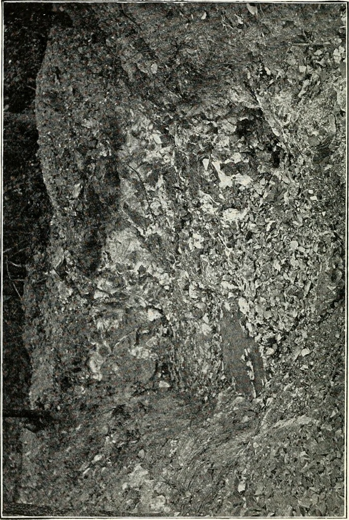An illustration from Ohio archæological and historical quarterly, 1887, leaf 125