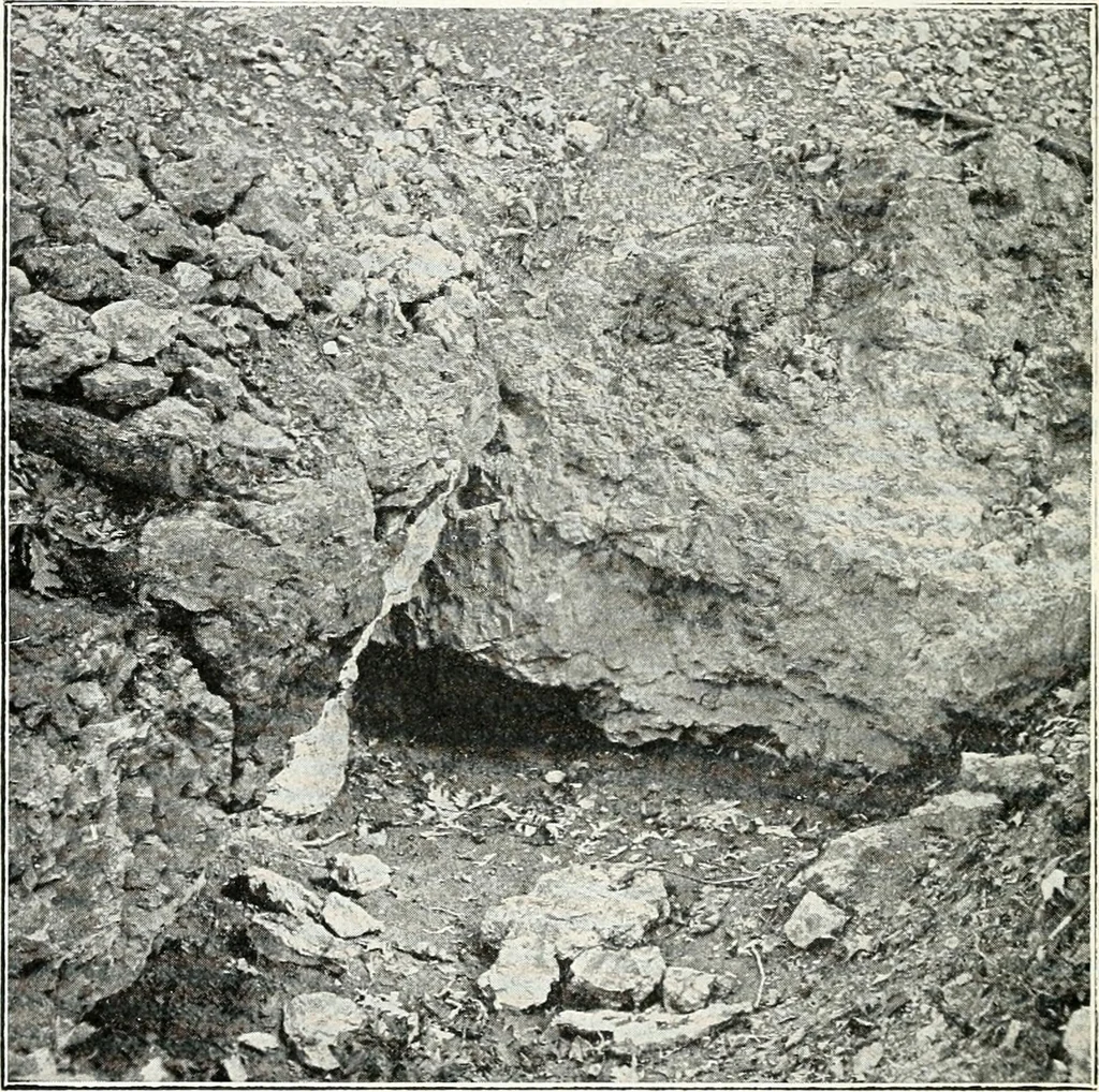 An illustration from Ohio archæological and historical quarterly, 1887, leaf 127