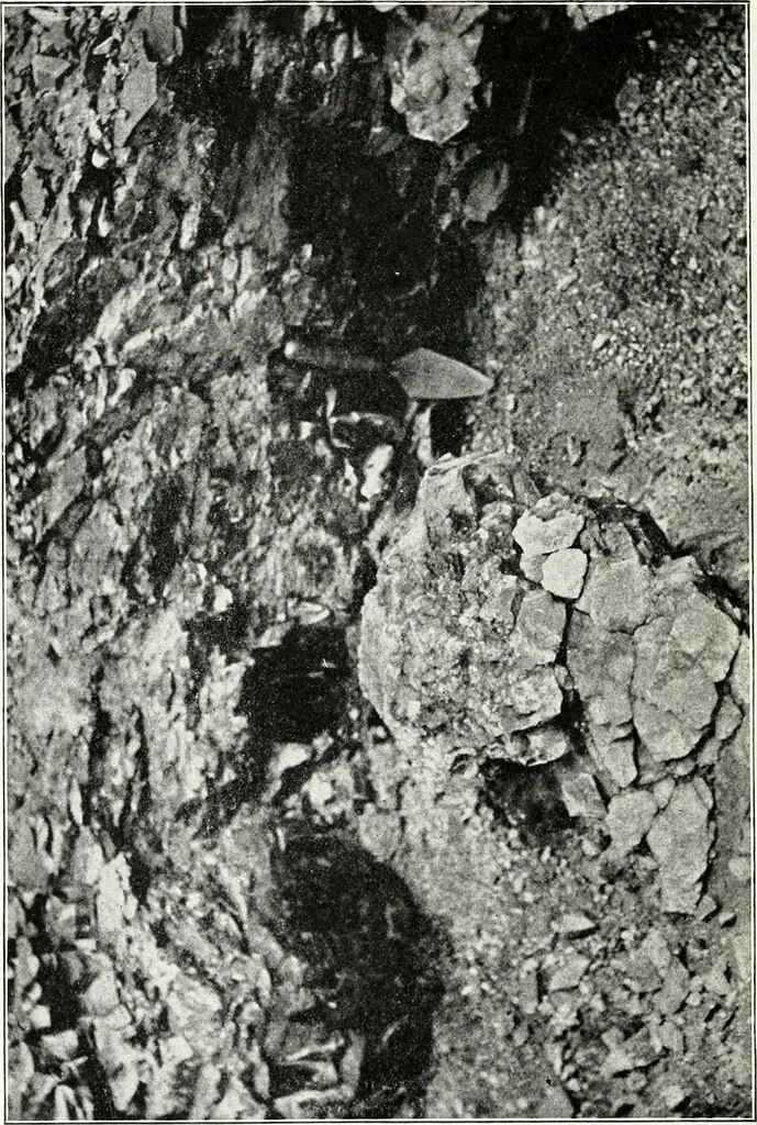 An illustration from Ohio archæological and historical quarterly, 1887, leaf 131